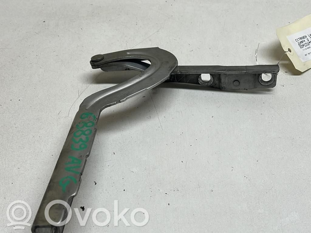 Engine bonnet/hood hinges   791295