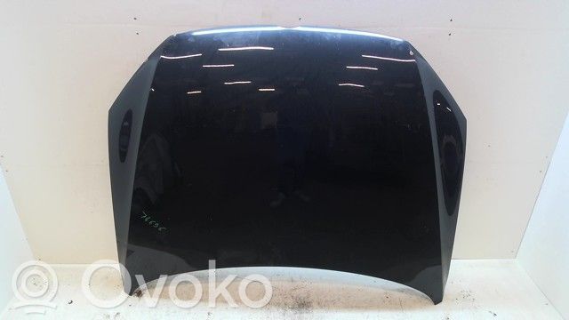 Volkswagen PASSAT B7 Capotă motor 