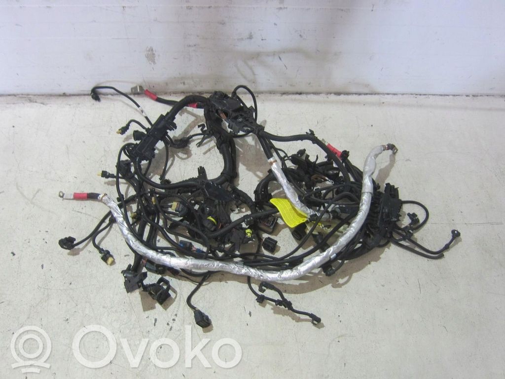 BMW X3 G01 Front door wiring loom 