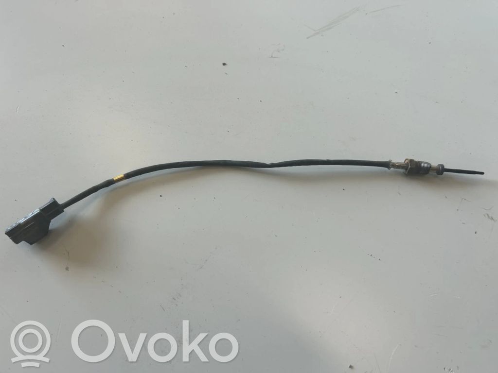 Ford Fiesta Išmetamųjų dujų temperatūros daviklis 