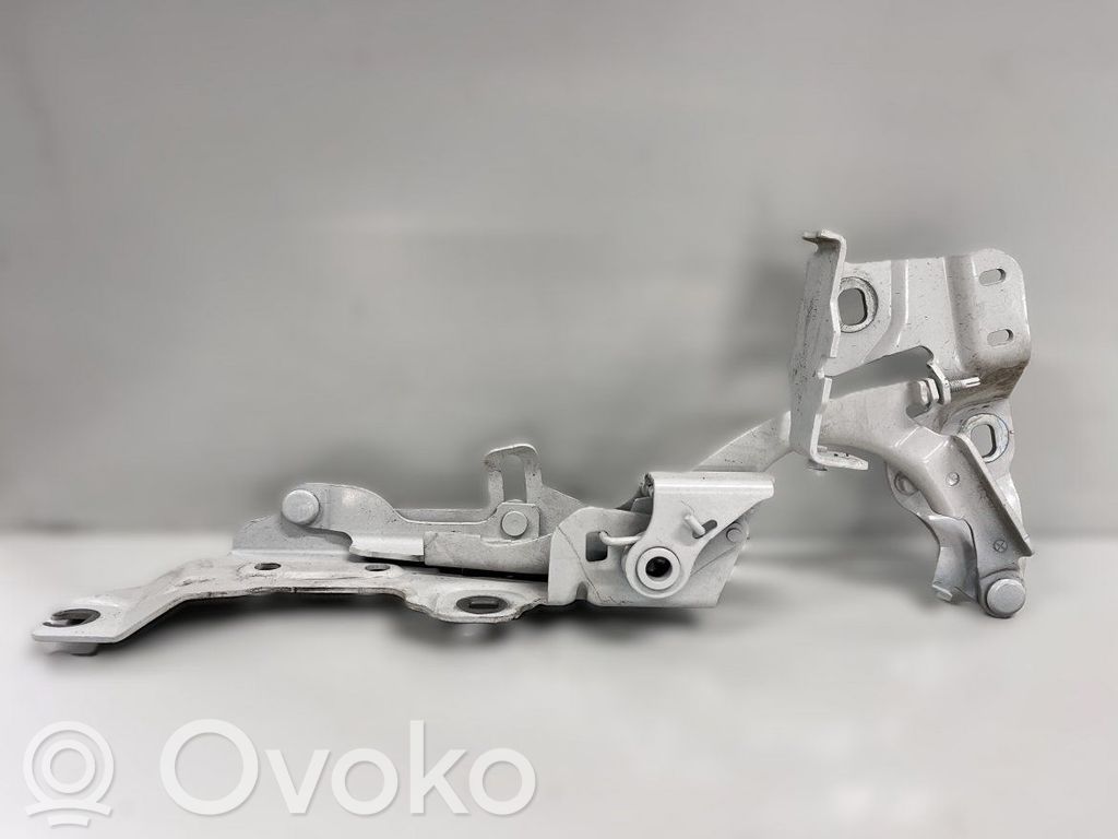 BMW 2 F46 Cerniere del vano motore/cofano 
