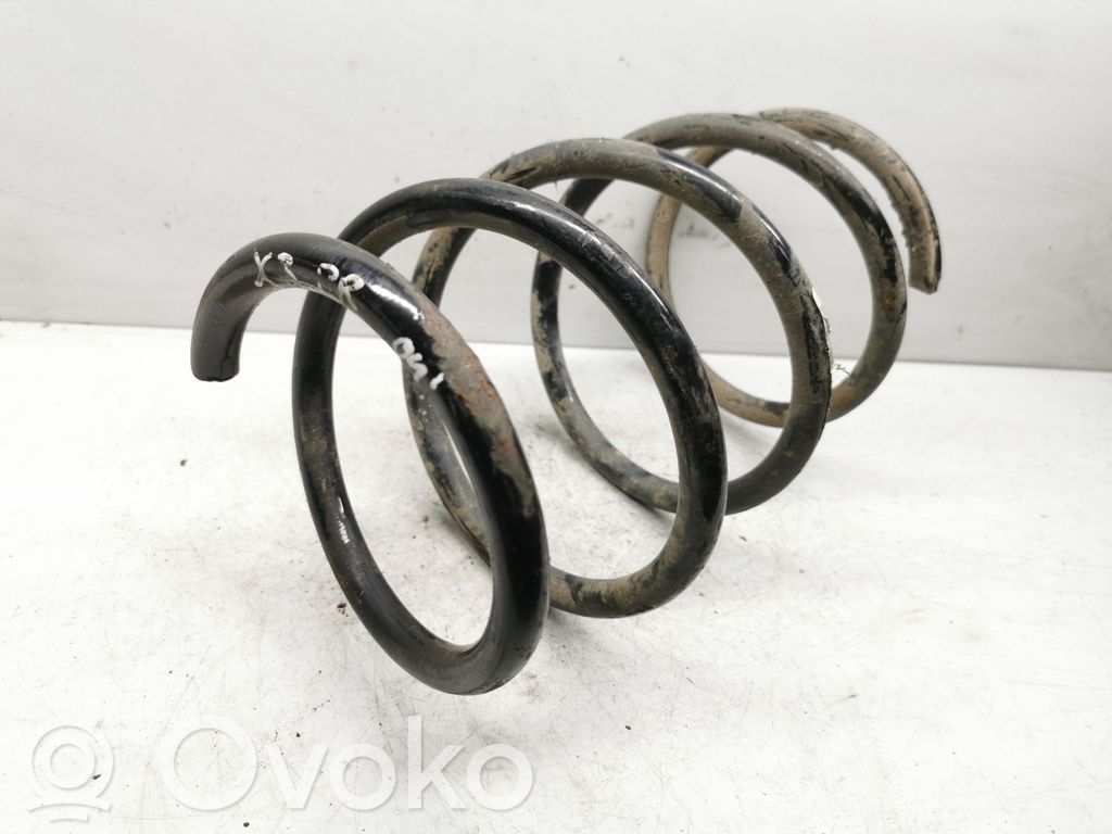 Front coil spring