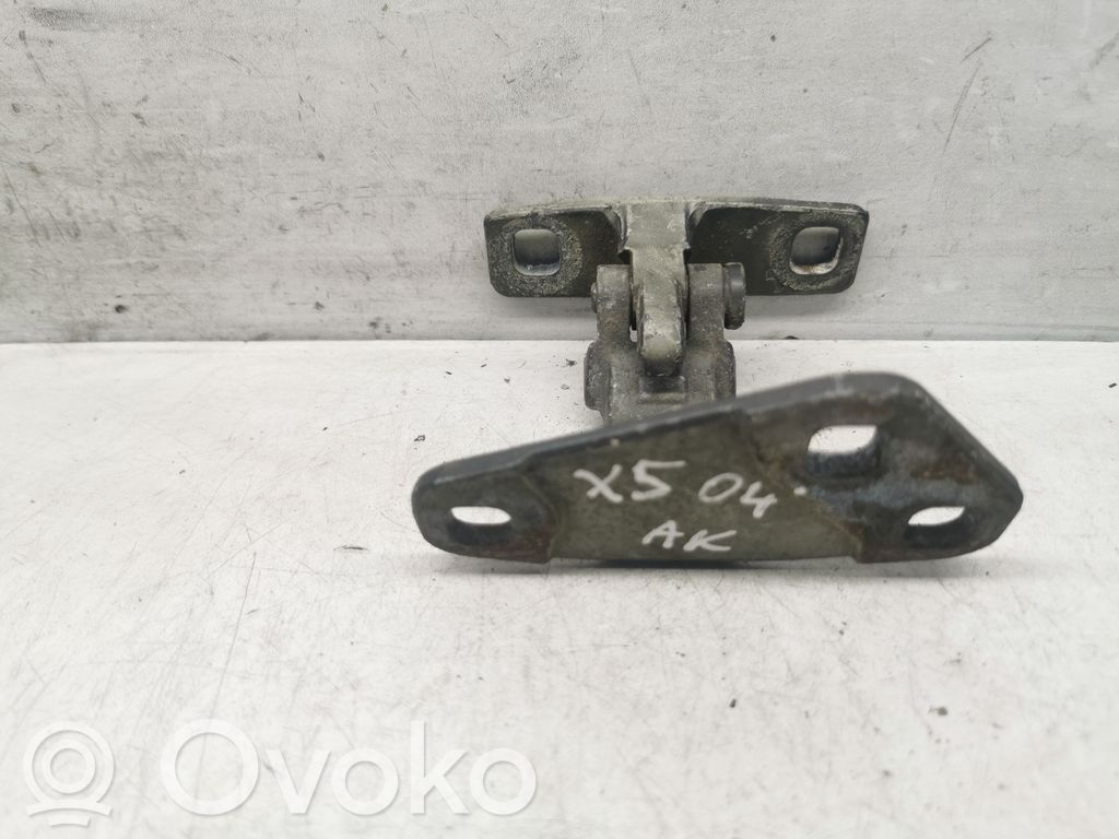 BMW X5 E53 Tailgate/trunk/boot hinge 