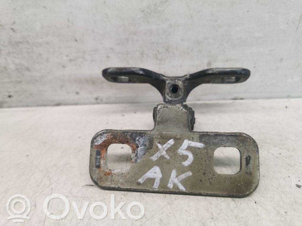 BMW X5 E53 Tailgate/trunk/boot hinge 