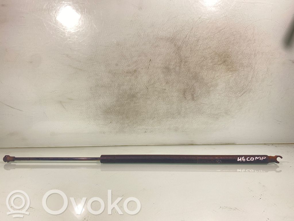 Tailgate/trunk strut/damper   51247118885