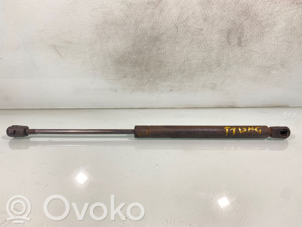 Tailgate/trunk strut/damper