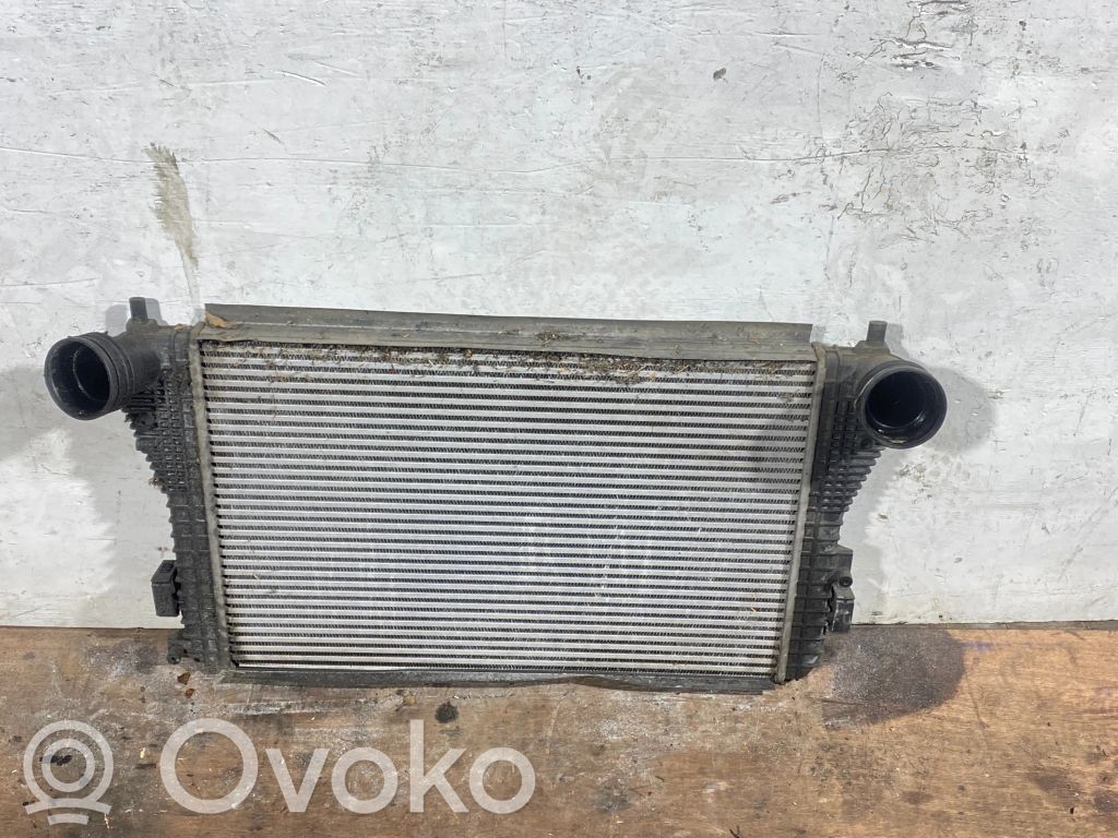 Volkswagen Golf Plus Intercooler radiator 