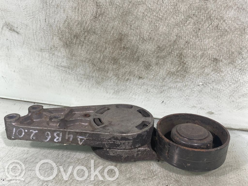 Audi A4 S4 B6 8E 8H Diržo įtempėjas 