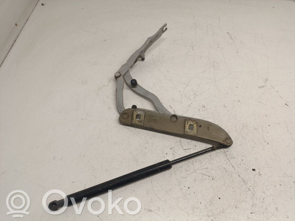 Tailgate/trunk/boot hinge   8220073
