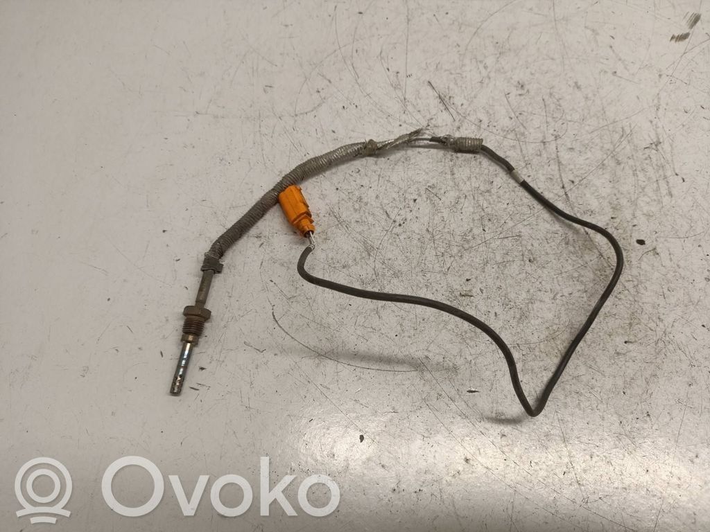 Seat Exeo (3R) Išmetamųjų dujų temperatūros daviklis 