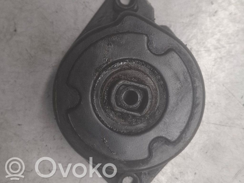 BMW 5 E39 Tendicinghia generatore/alternatore 
