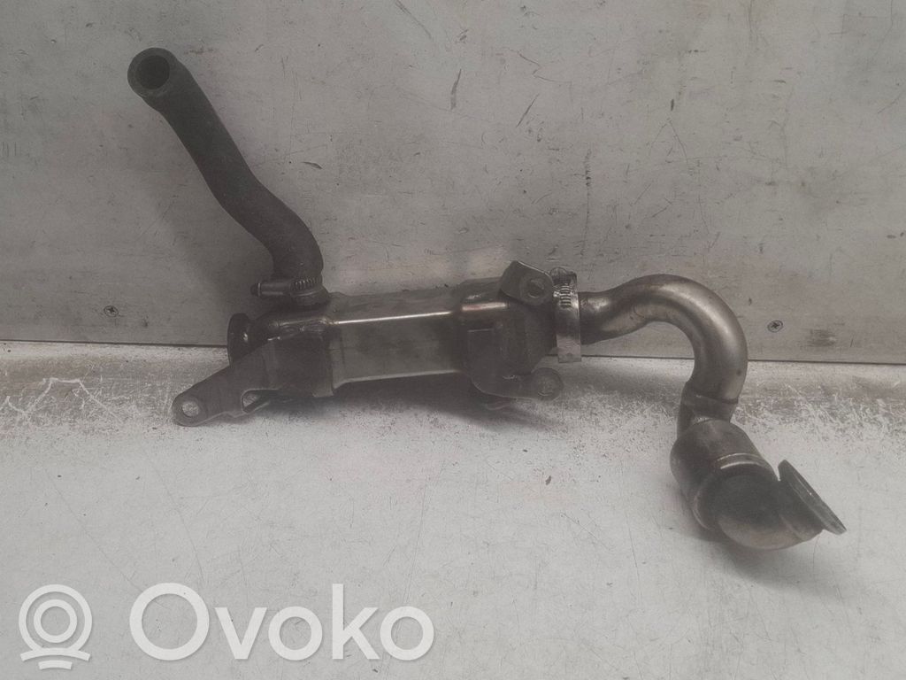 BMW 5 E39 EGR aušintuvas 