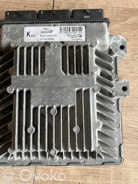 Engine control unit/module   5WS40535I