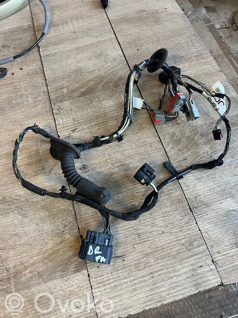 Cableado de puerta delantera   BG9T14A584