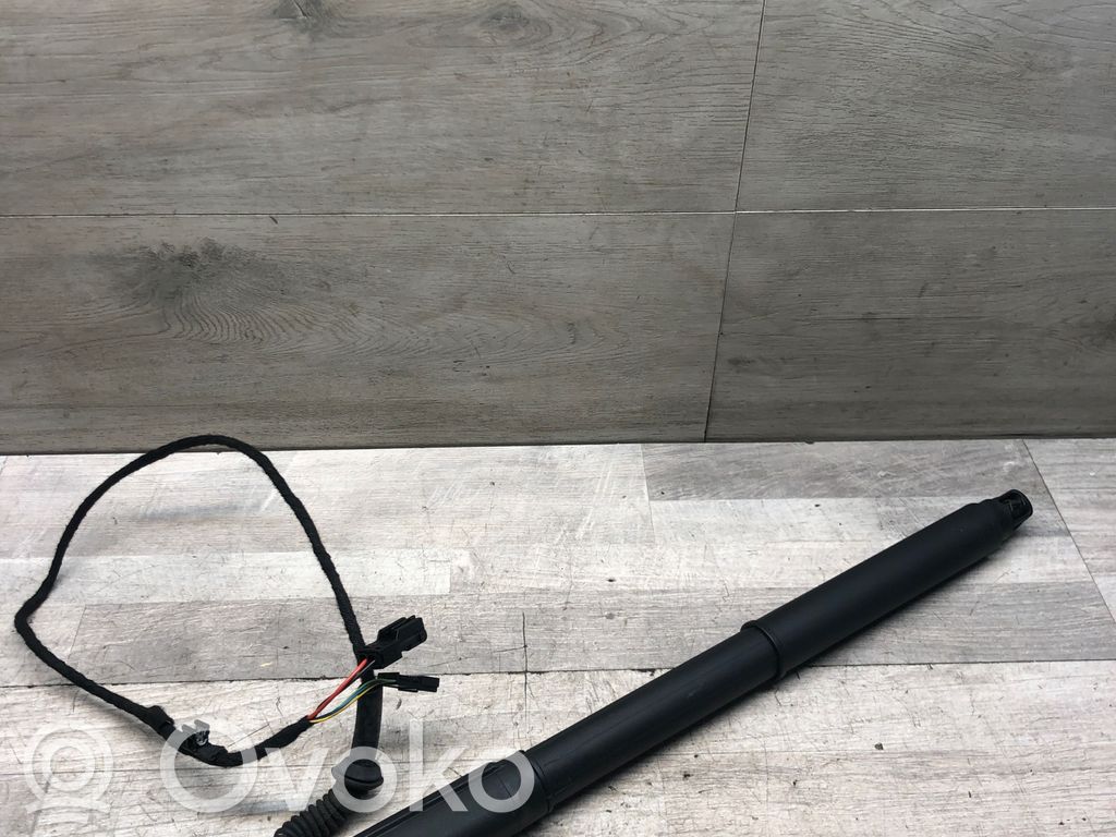 BMW X5 E70 Tailgate/trunk strut/damper 