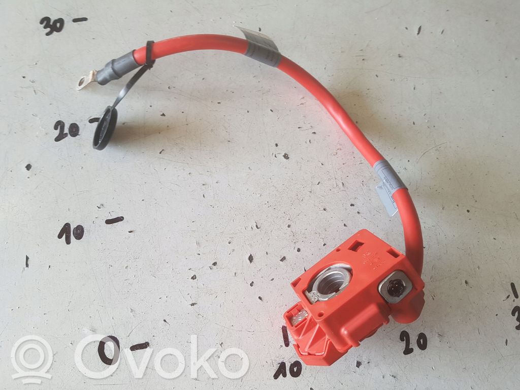 Positive cable (battery)   6988974