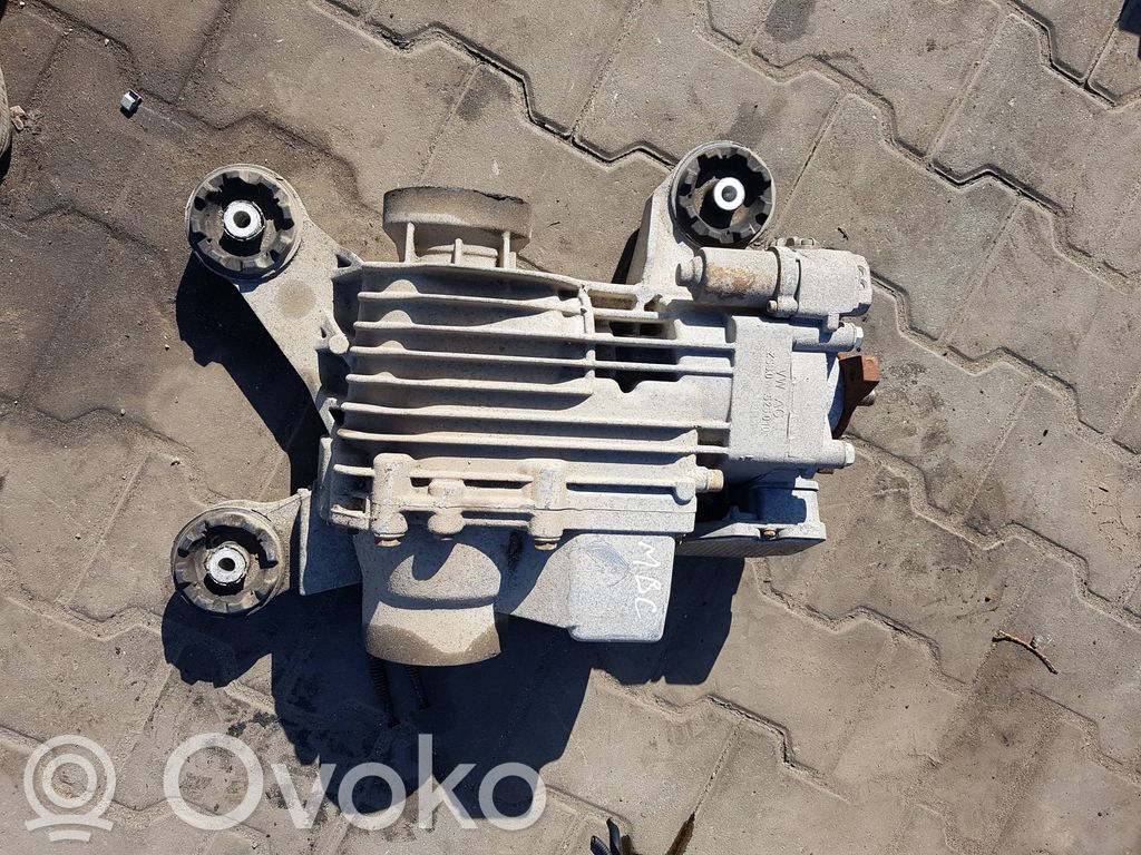 Volkswagen Tiguan Galinis reduktorius 