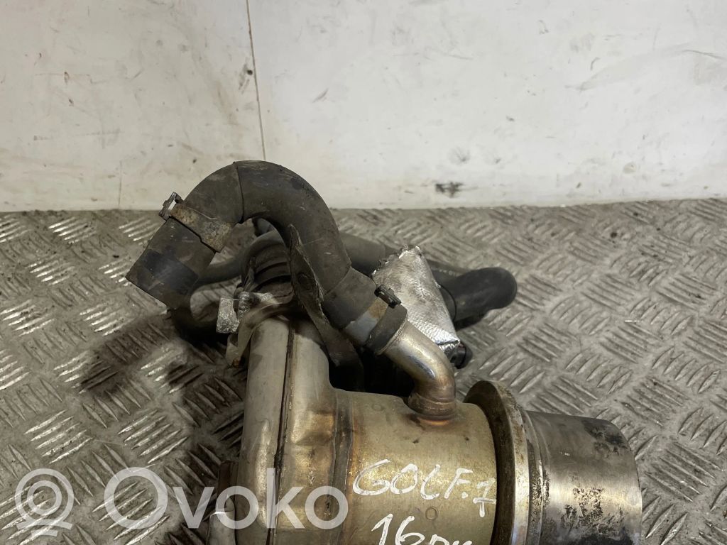 Volkswagen Golf VI Chłodnica spalin EGR 