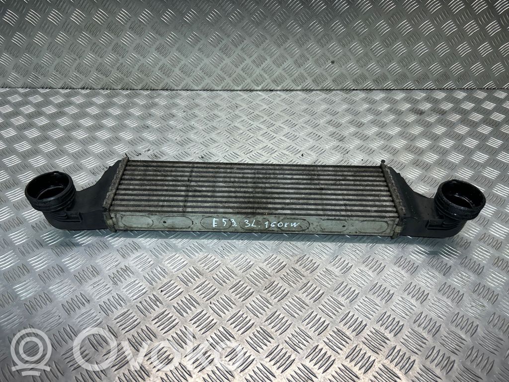 BMW X5 E53 Interkūlerio radiatorius 