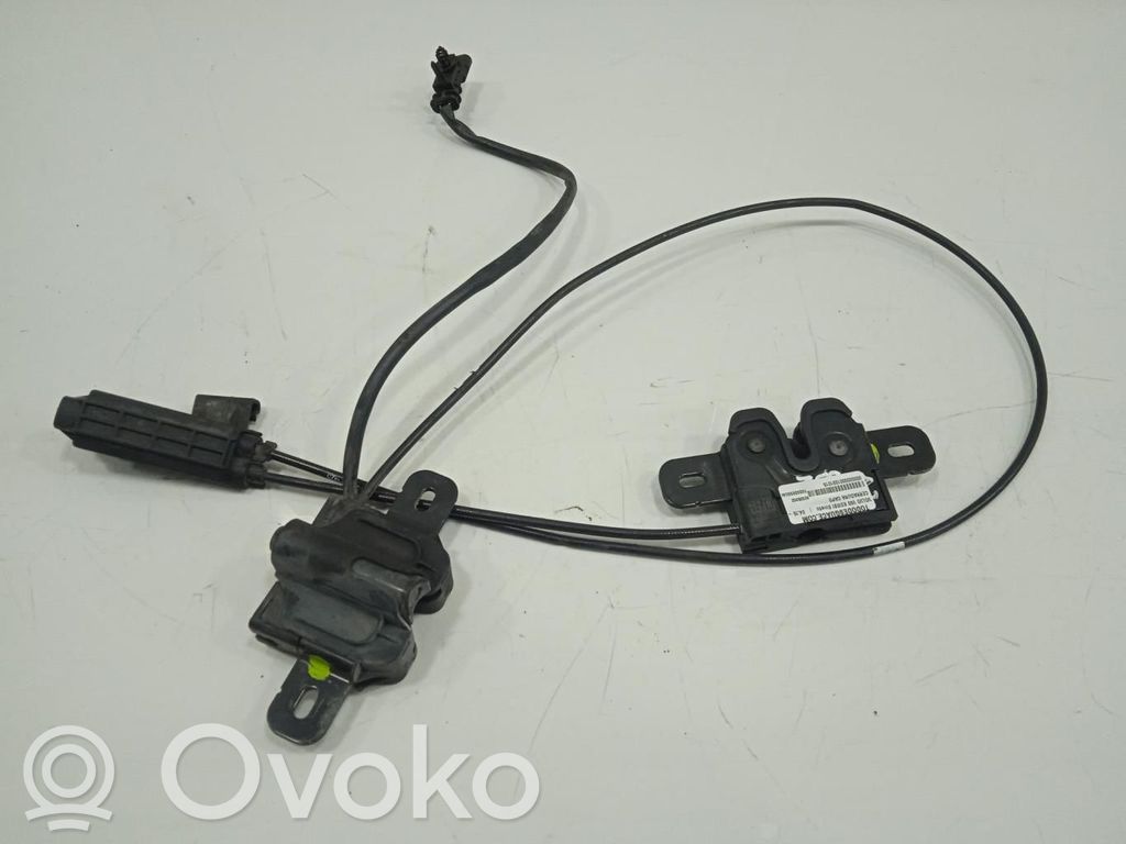 Tie down hook / loop   31425974