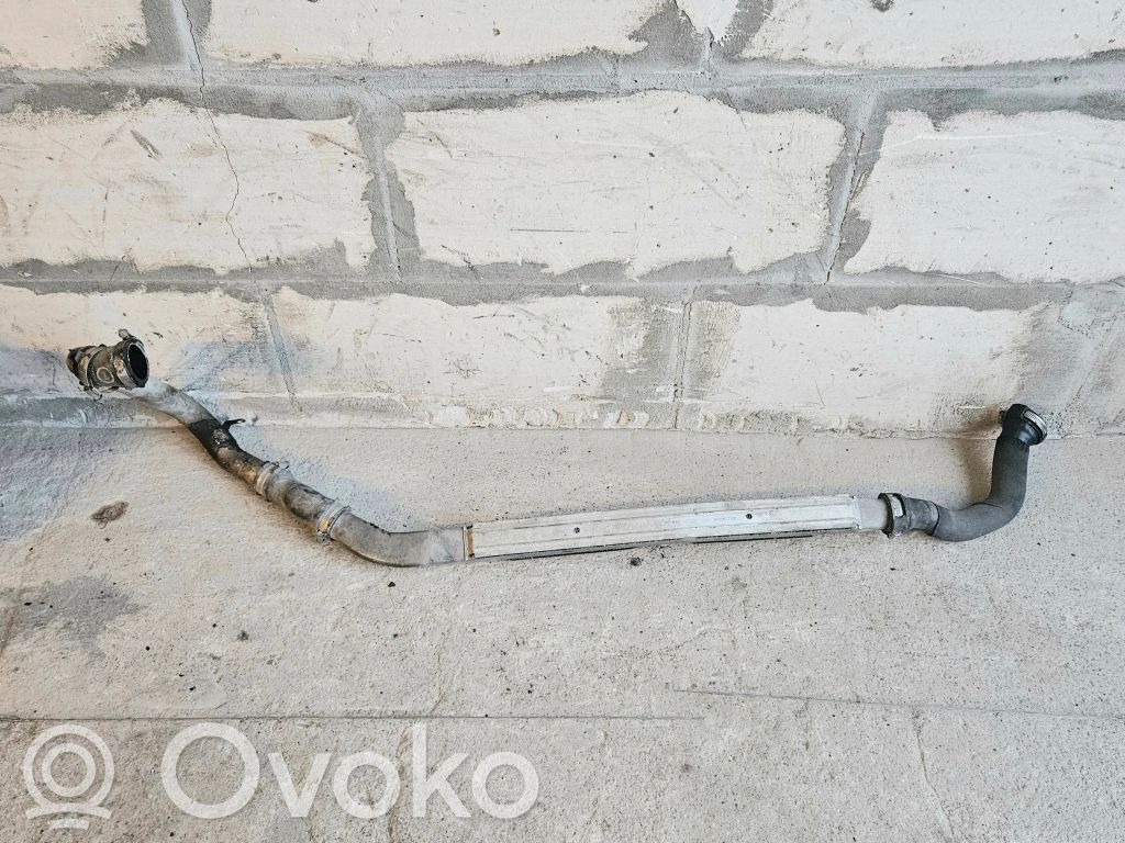 Audi A6 S6 C6 4F Interkūlerio žarna (-os)/ vamzdelis (-iai) 