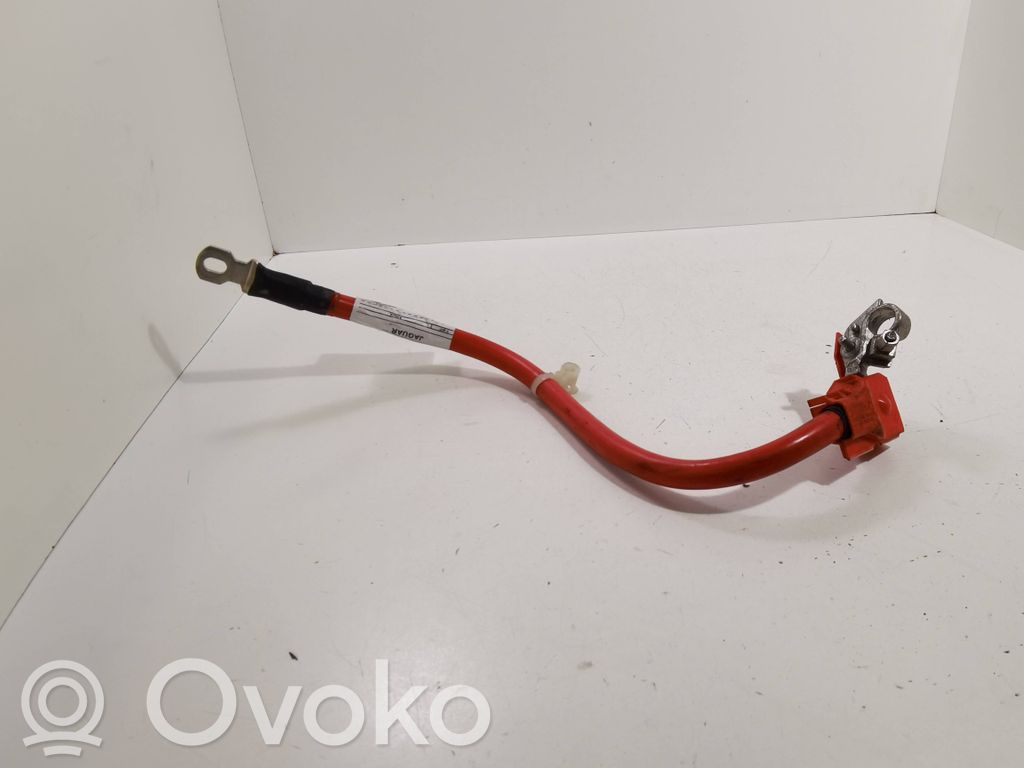Jaguar XF X250 Cable positivo (batería) 