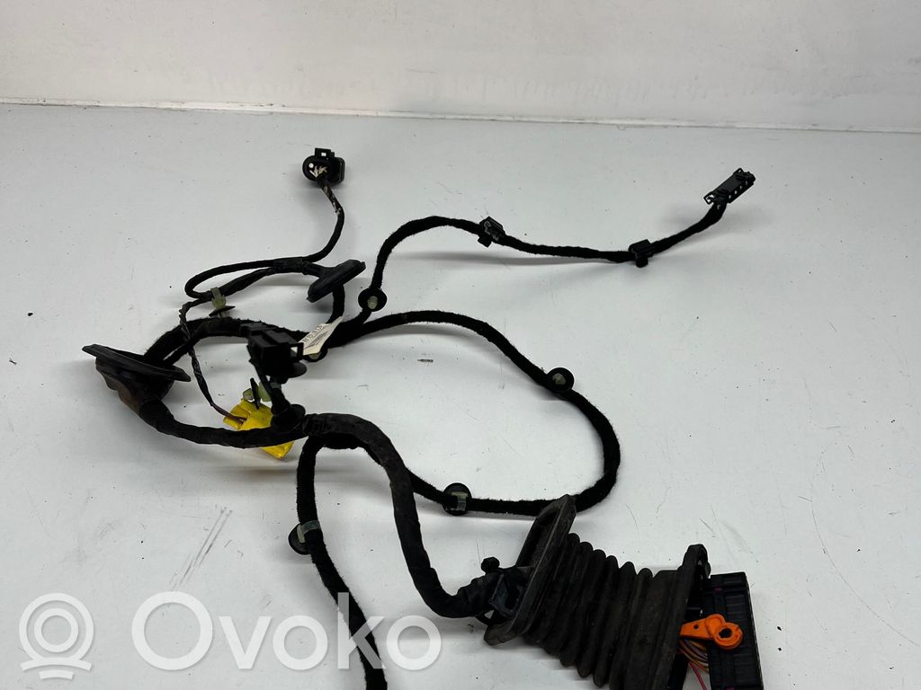 Volkswagen PASSAT B6 Cablaggio porta anteriore 