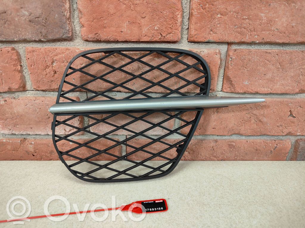 BMW X5 E70 Front bumper lower grill 