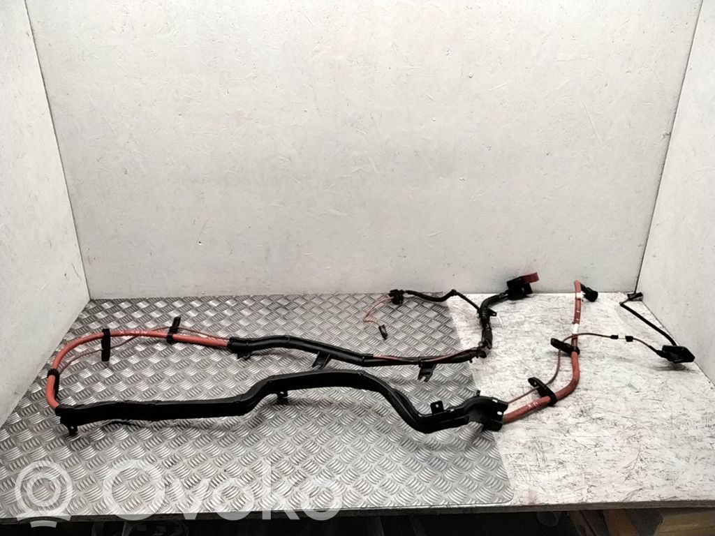BMW X6 E71 Plusa vads (akumulatora) 