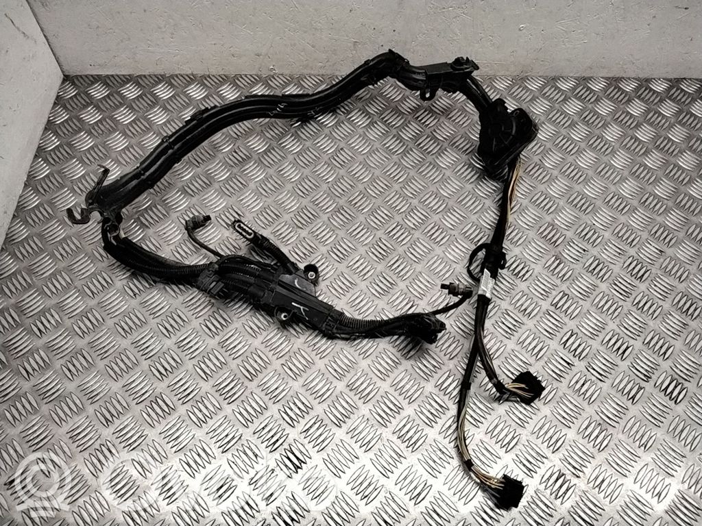 BMW X6 E71 Other wiring loom 