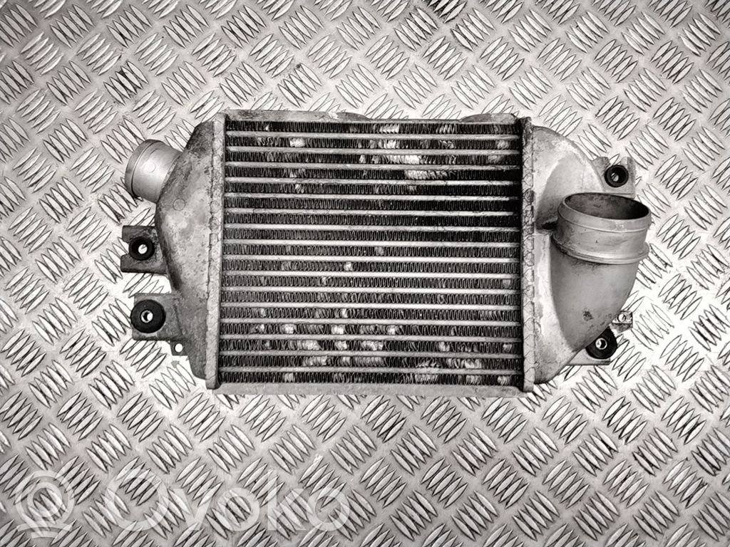 Intercooler radiator