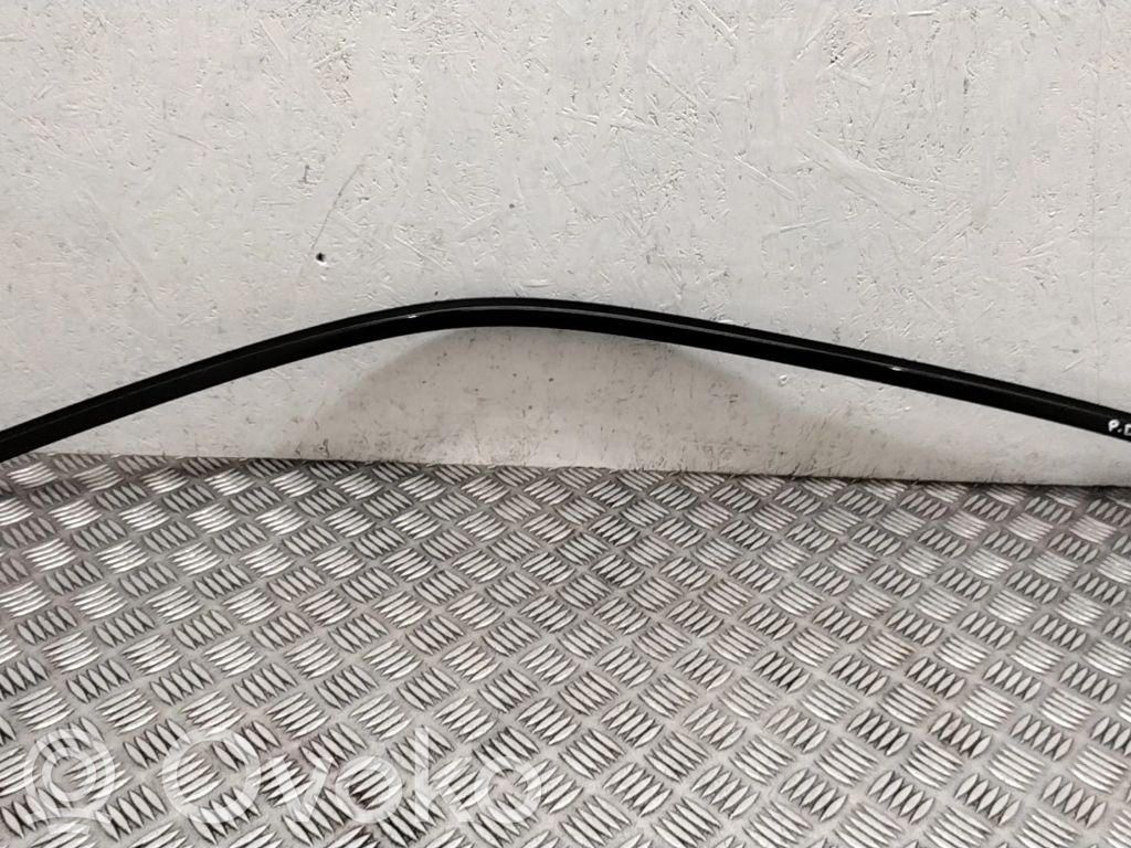 BMW X5 E70 Ornament geam ușă față 