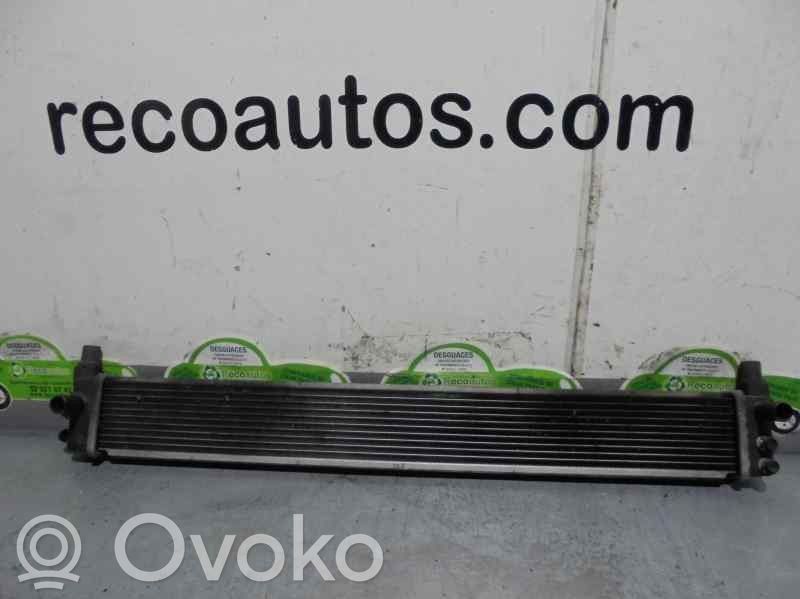 Toyota Prius (XW30) Coolant radiator 