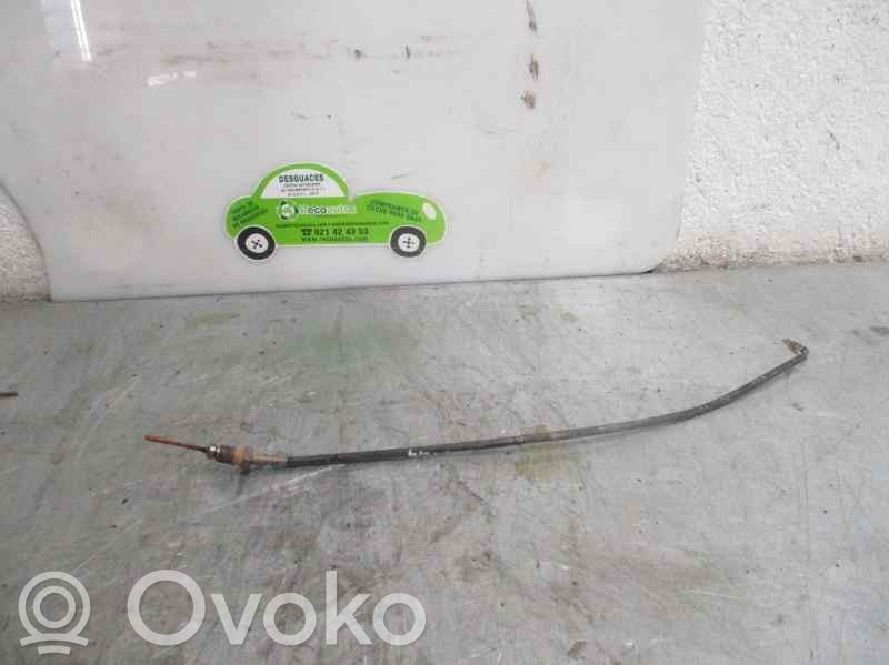 Citroen C6 Sensor 