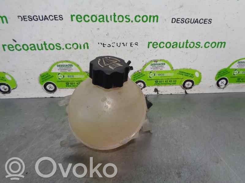 Citroen Berlingo Kuro išsiplėtimo bakelis 