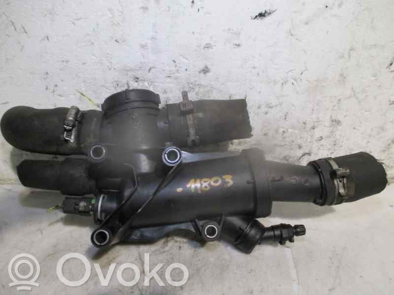 Thermostat   9656182980,53531,53537