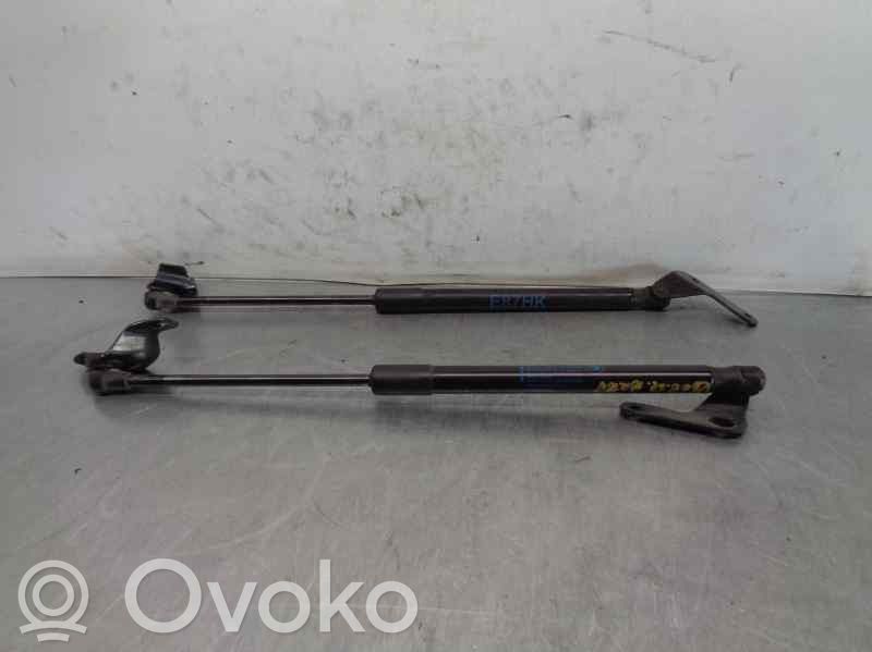 Tailgate/trunk strut/damper   51247060622