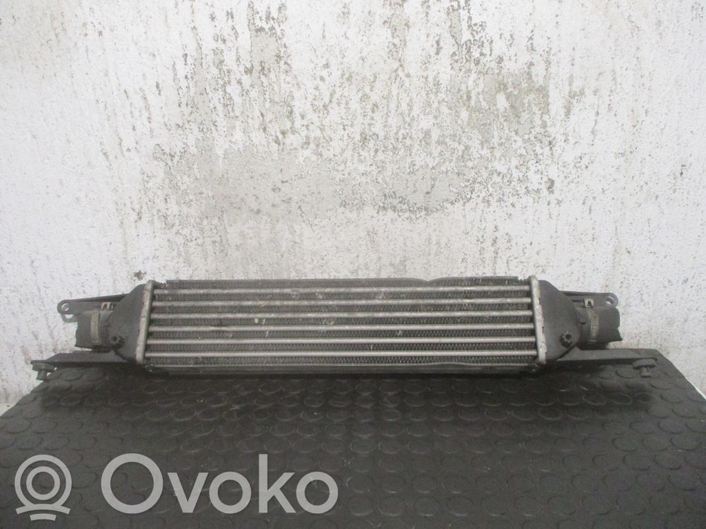 Fiat Linea Radiator intercooler 