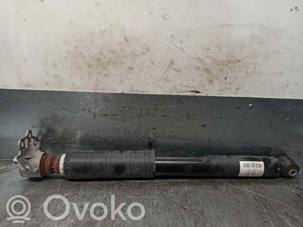 Fiat Tipo Amortyzator tylny 