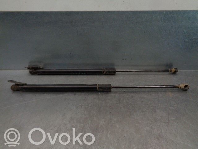 Chevrolet Aveo Tailgate/trunk strut/damper 