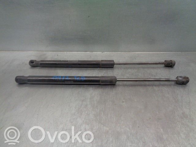 Tailgate/trunk strut/damper   904520004R