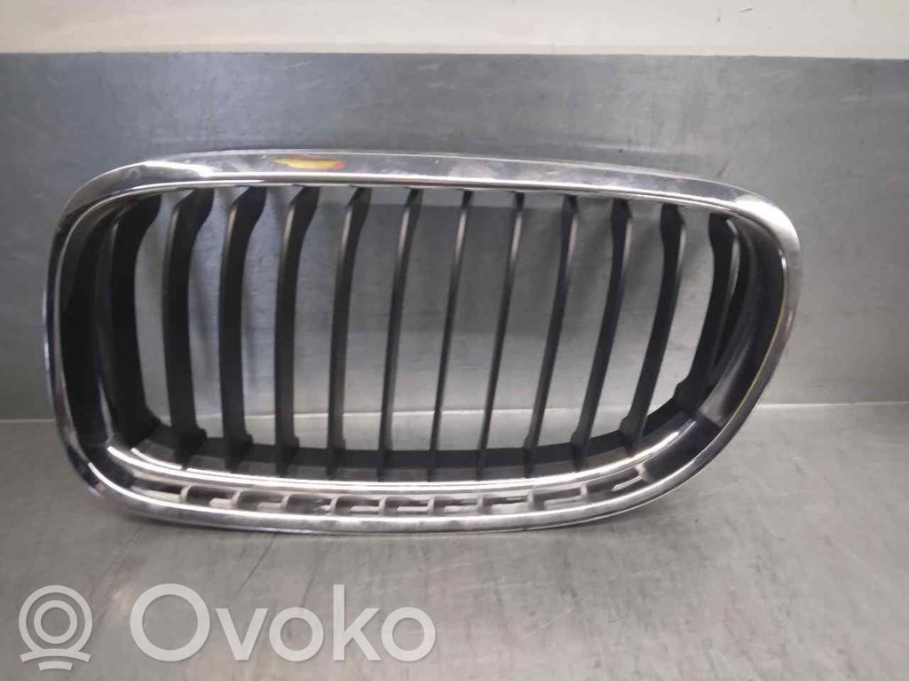BMW 3 E90 E91 Front grill 