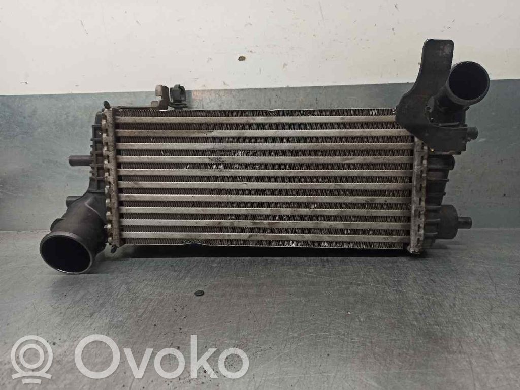 Interkūlerio radiatorius   BV619L440CG,Y2488006,FOMOCO