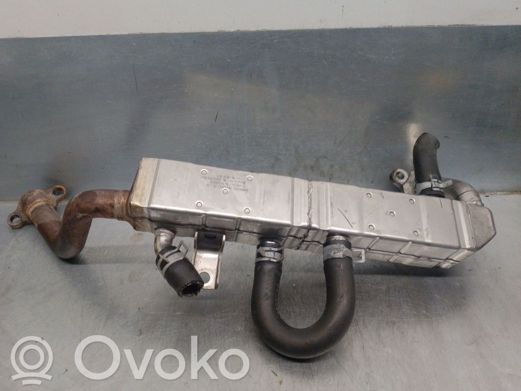 Subaru Outback Valvola di raffreddamento EGR 