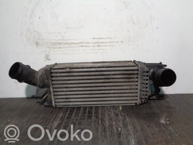 Peugeot 407 Interkūlerio radiatorius 