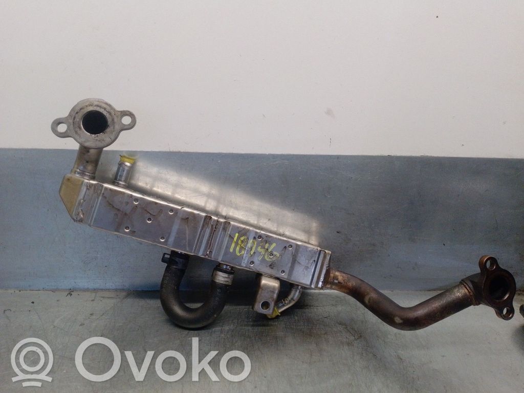 Subaru Outback Valvola di raffreddamento EGR 