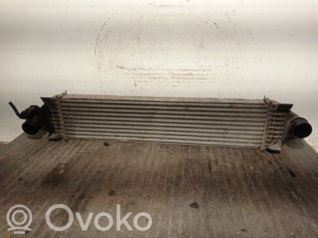 Radiador intercooler   BV619L440BD,72432002,FOMOCO