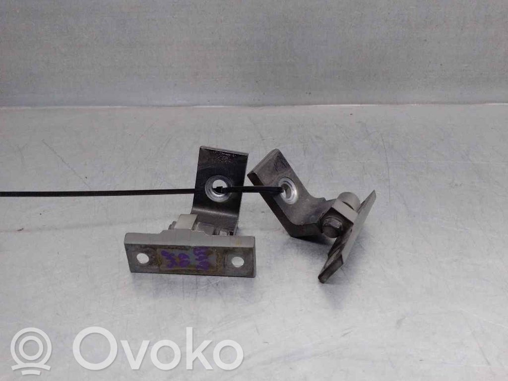 BMW X5 E70 Tailgate/trunk/boot hinge 