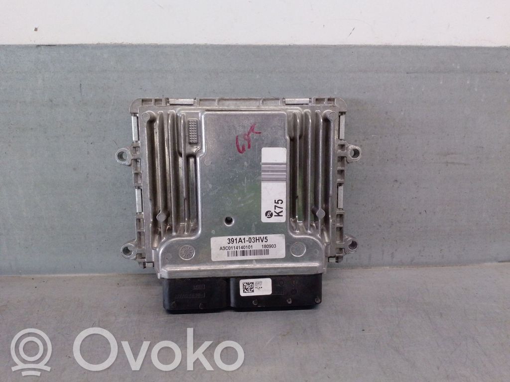 Engine control unit/module   391A103HV5
