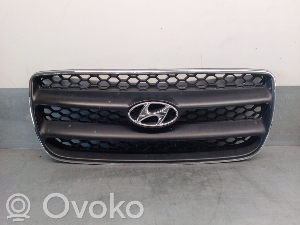 Hyundai Santa Fe Etusäleikkö 